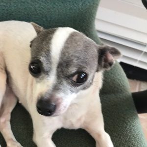 Meet your Posher, Loretta